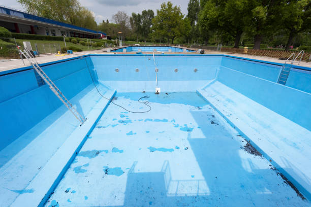Best Water damage restoration mold remediation  in Lyford, TX