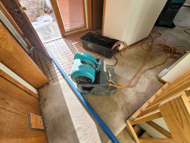 Best Carpet water damage restoration  in Lyford, TX