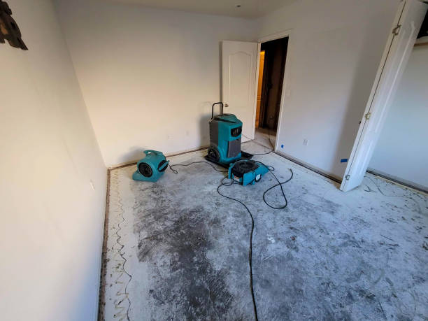 Best Residential water damage restoration  in Lyford, TX