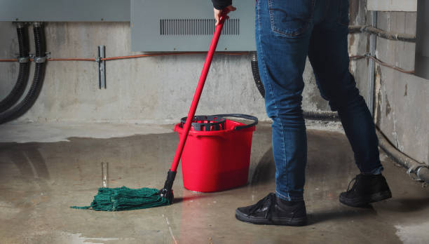 Best Basement water damage restoration  in Lyford, TX