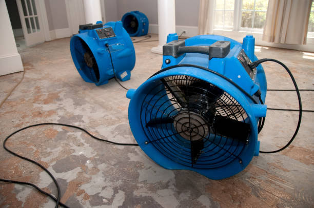 Best 24-hour water damage restoration  in Lyford, TX